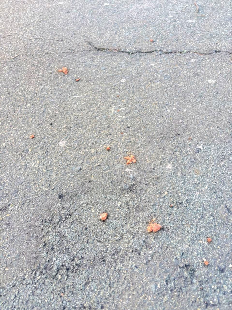 *COMMUNITY ALERT ā DOG POISONING*